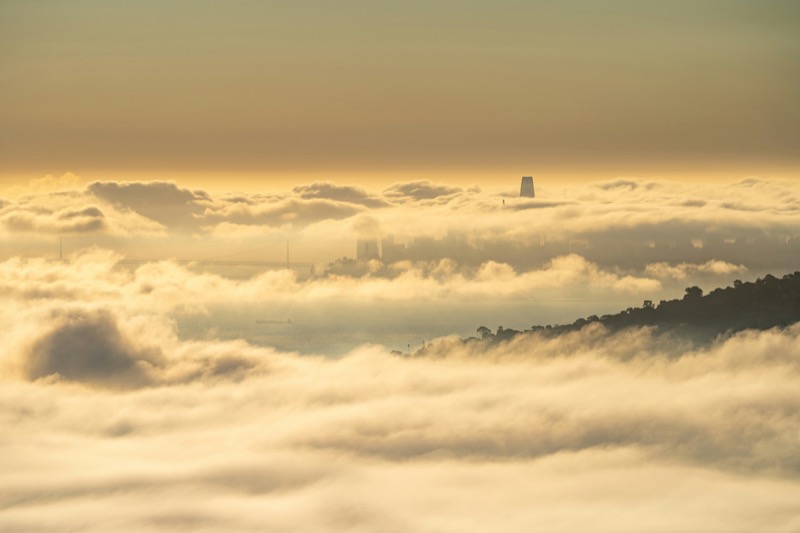 City skyline in fog